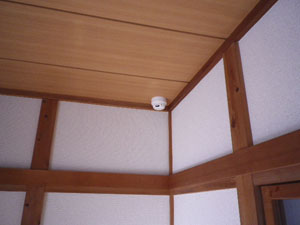 IMGP0984.JPG